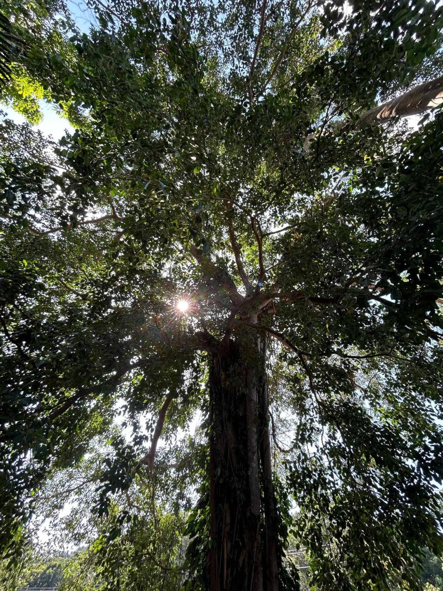 Grand Tree Ξενοδοχείο Κο Τσανγκ Εξωτερικό φωτογραφία